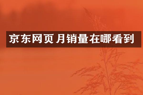 京东网页月销量在哪看到