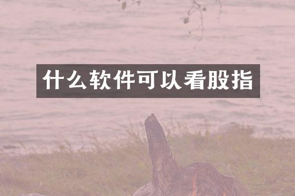 什么软件可以看股指