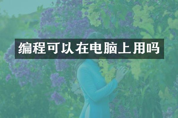 编程可以在电脑上用吗