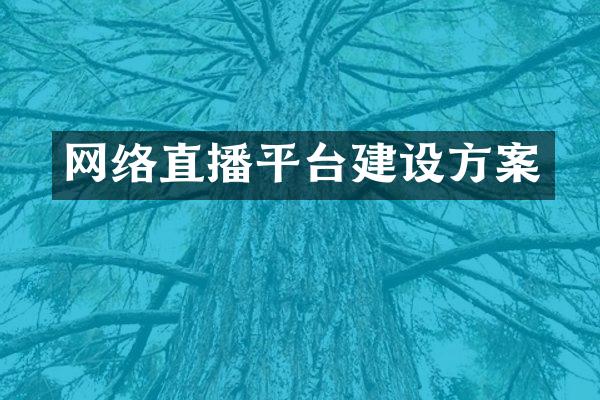 网络直播平台建设方案