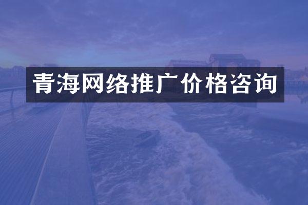 青海网络推广价格咨询