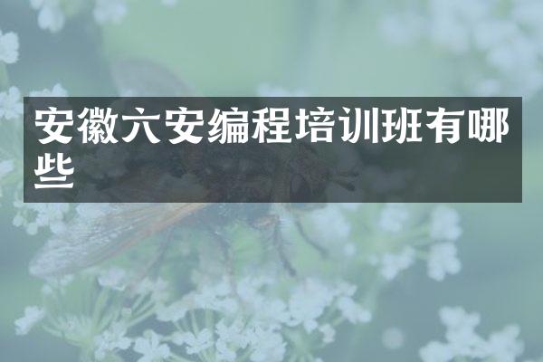 安徽六安编程培训班有哪些