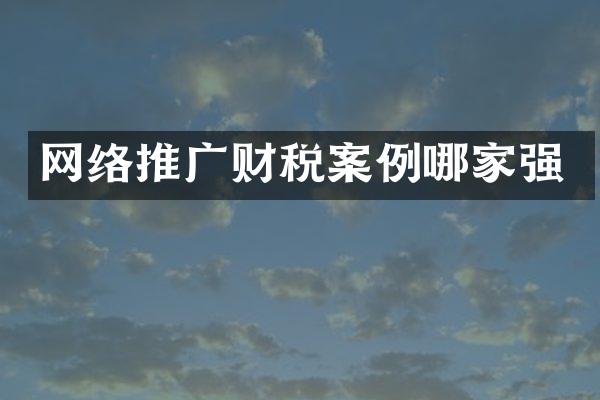 网络推广财税案例哪家强