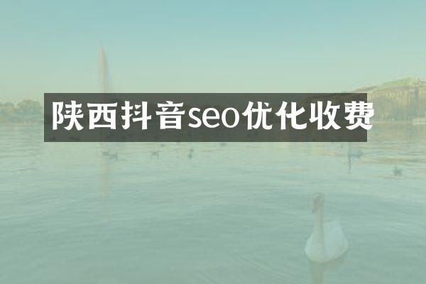 陕西抖音seo优化收费