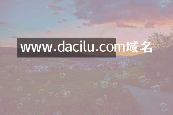 www.dacilu.com域名