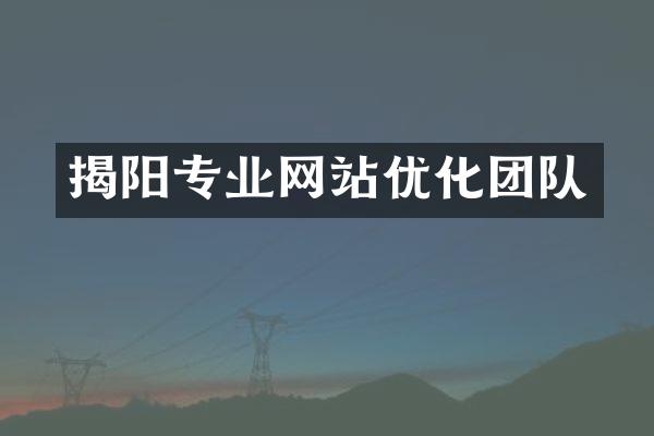 揭阳专业网站优化团队