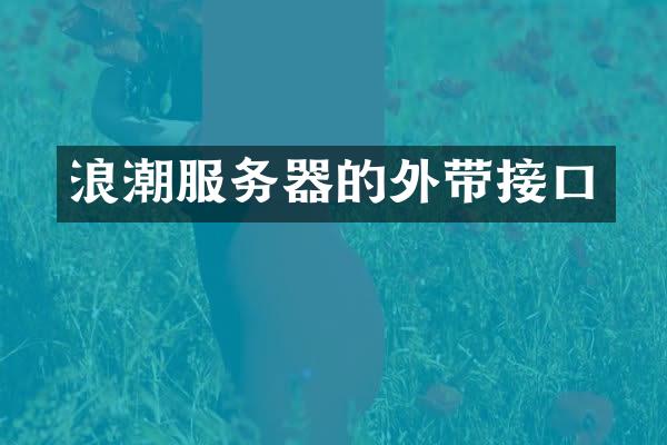 浪潮服务器的外带接口