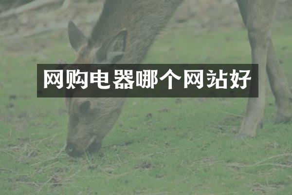 网购电器哪个网站好