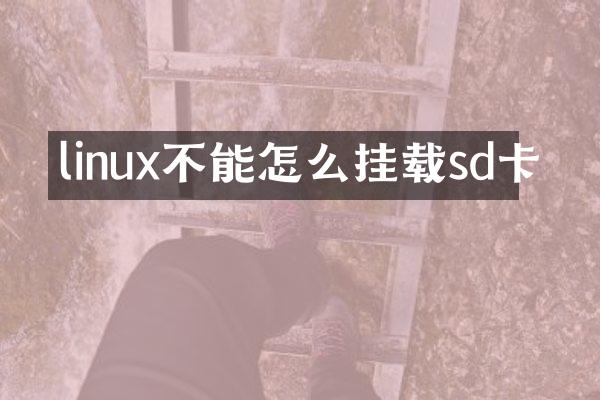 linux不能怎么挂载sd卡