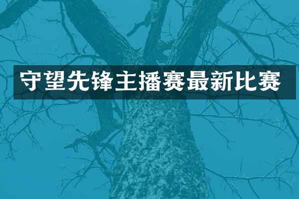 守望先锋主播赛最新比赛