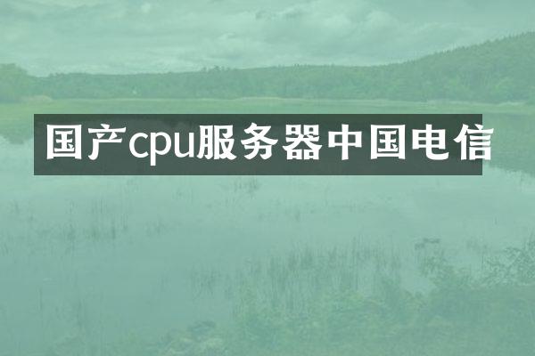 国产cpu服务器中国电信