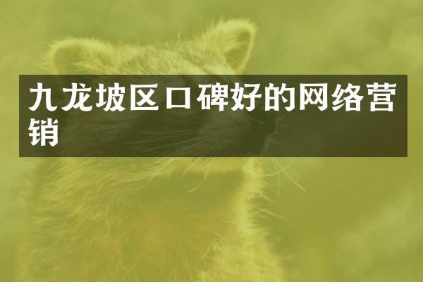 九龙坡区口碑好的网络营销