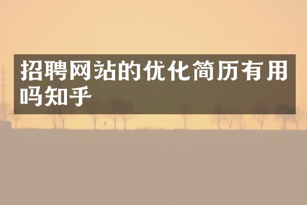 招聘网站的优化简历有用吗知乎