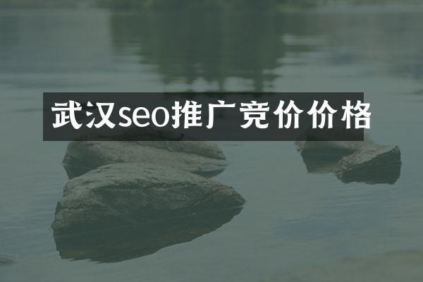 武汉seo推广竞价价格