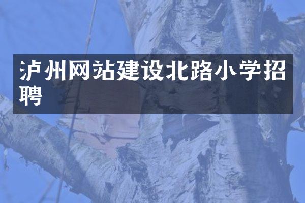 泸州网站建设北路小学招聘