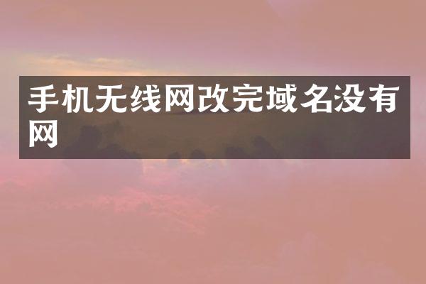 手机无线网改完域名没有网