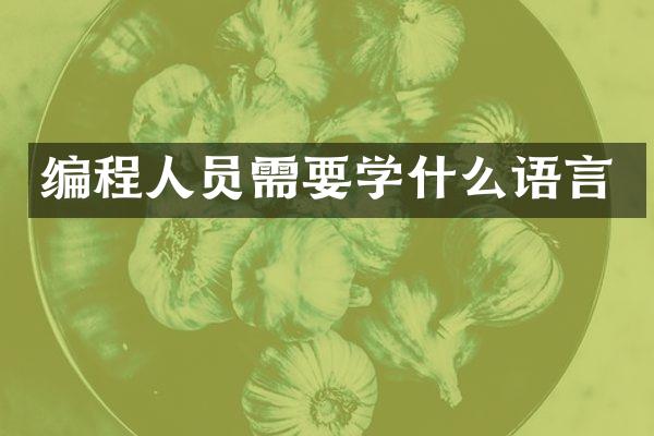 编程人员需要学什么语言