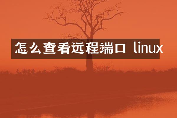 怎么查看远程端口 linux