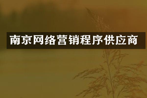 南京网络营销程序供应商