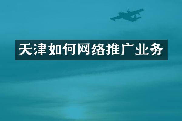 天津如何网络推广业务