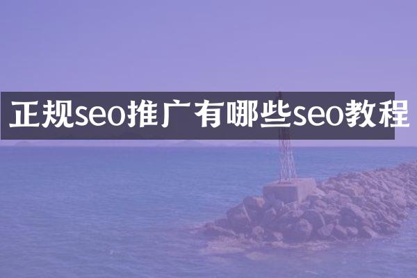正规seo推广有哪些seo教程
