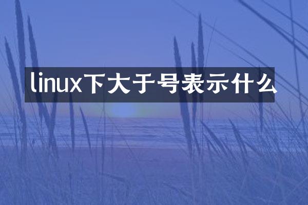 linux下大于号表示什么