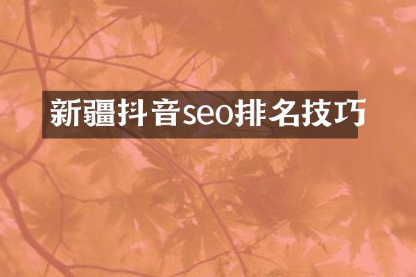 新疆抖音seo排名技巧