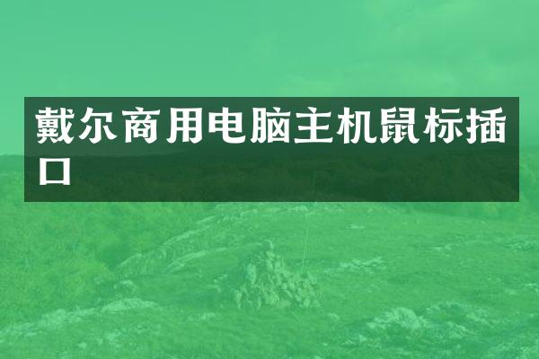戴尔商用电脑主机鼠标插口