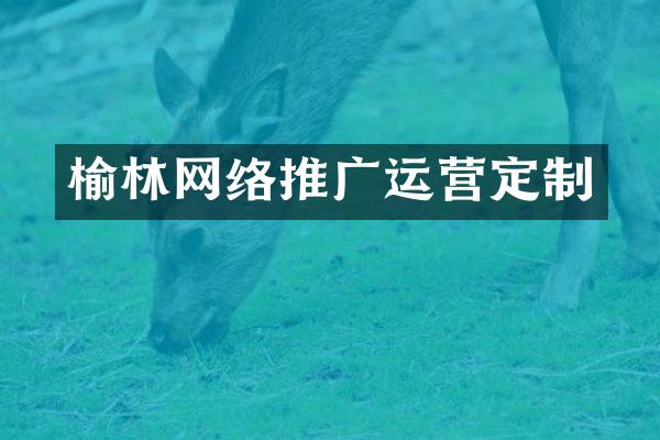 榆林网络推广运营定制
