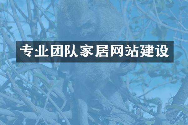 专业团队家居网站建设
