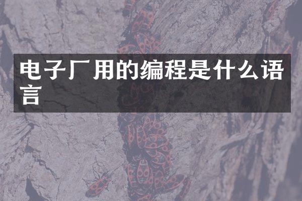 电子厂用的编程是什么语言