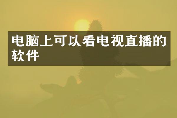电脑上可以看电视直播的软件