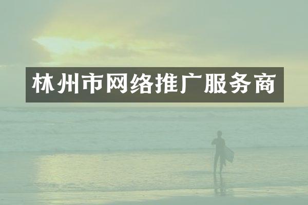 林州市网络推广服务商