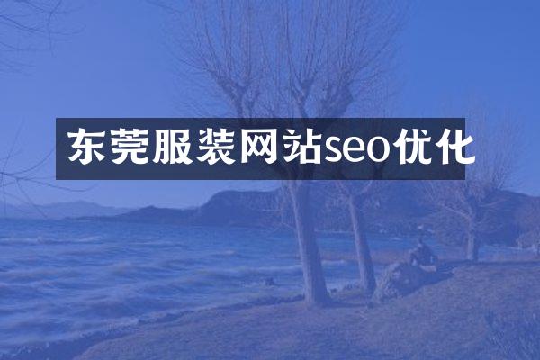 东莞服装网站seo优化