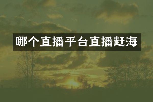 哪个直播平台直播赶海