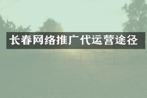 长春网络推广代运营途径