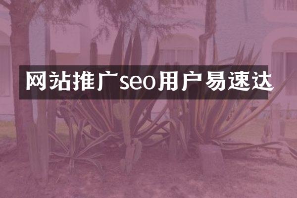 网站推广seo用户易速达