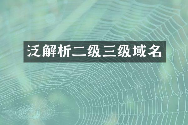 泛解析二级三级域名