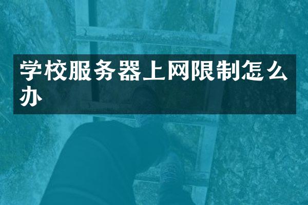 学校服务器上网限制怎么办