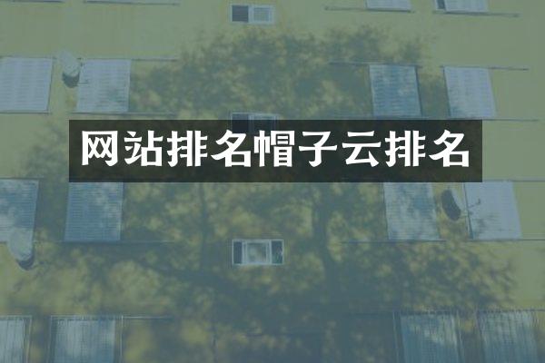 网站排名帽子云排名
