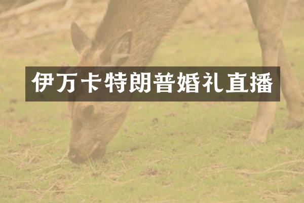 伊万卡特朗普婚礼直播