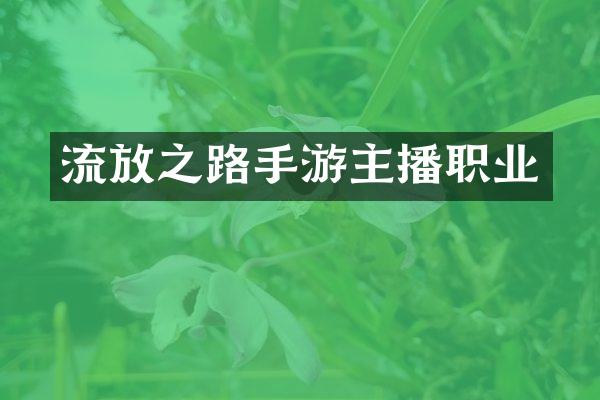 流放之路手游主播职业