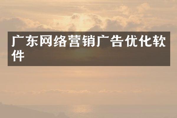 广东网络营销广告优化软件