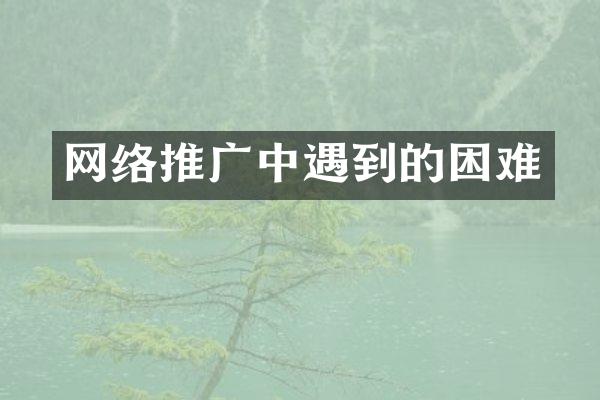 网络推广中遇到的困难