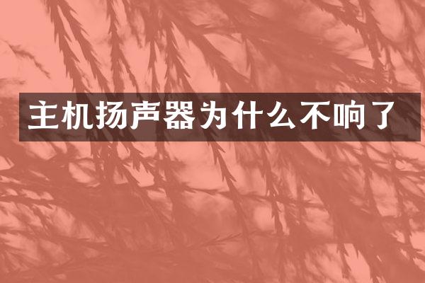 主机扬声器为什么不响了
