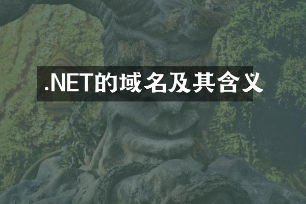 .NET的域名及其含义