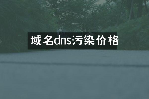 域名dns污染价格