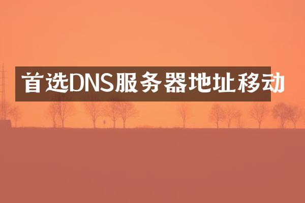 首选DNS服务器地址移动