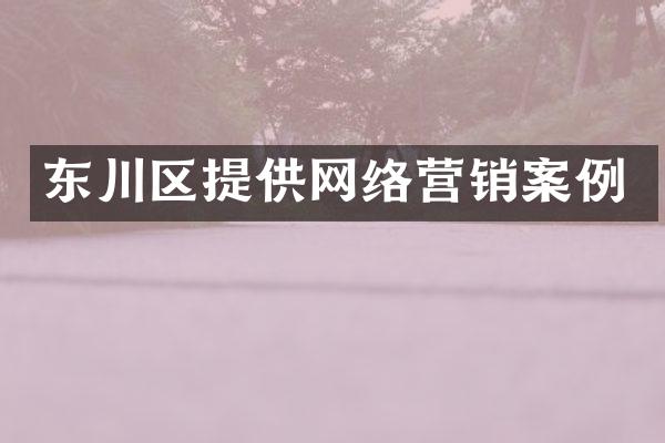 东川区提供网络营销案例