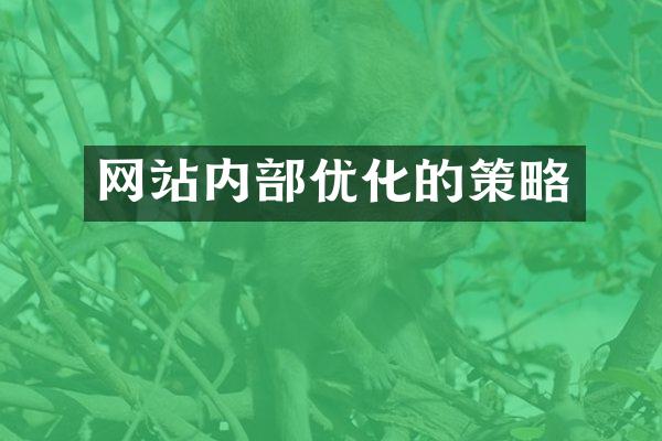 网站内部优化的策略